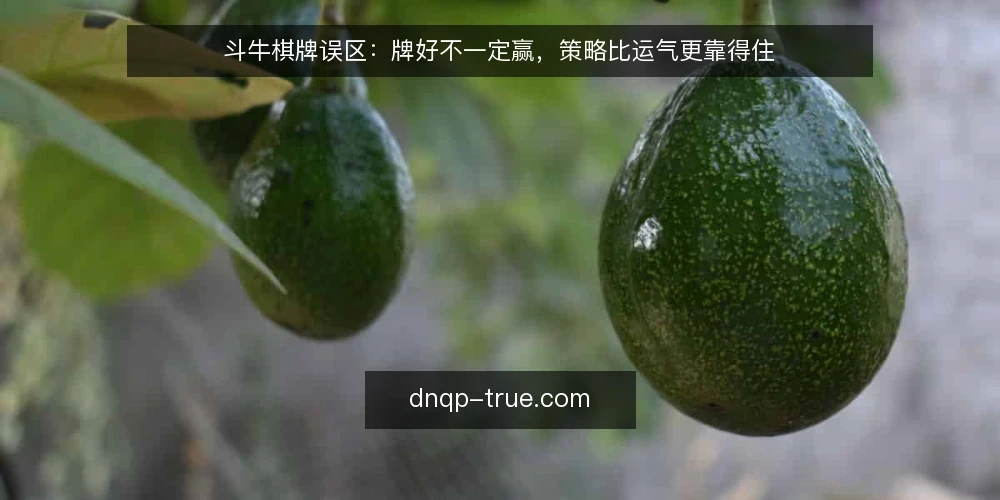 斗牛棋牌误区：牌好不一定赢，策略比运气更靠得住 — 误区一：牌型大就一定赢，其实不然 配图