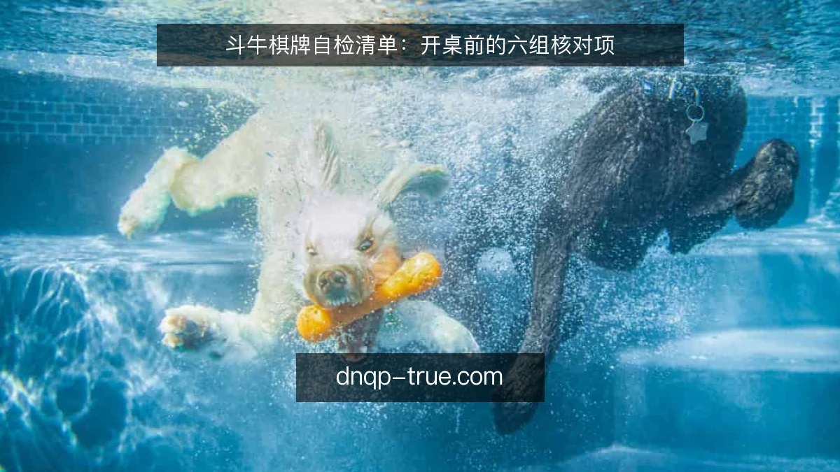 斗牛棋牌自检清单：开桌前的六组核对项