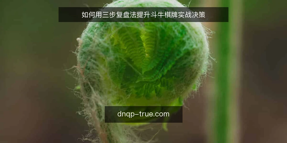 如何用三步复盘法提升斗牛棋牌实战决策 — 复盘前的准备:记录什么才有效 配图